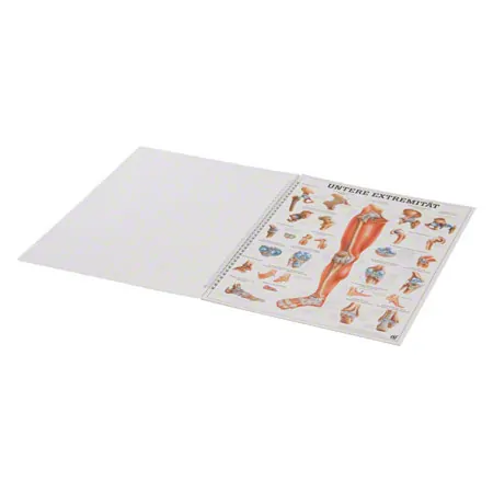 Mini poster booklet - Human anatomy - , LxW 34x24 cm, 12 posters