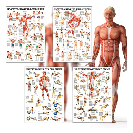 Mini-Poster Booklet Fitness and Weight training, LxB 34x24 cm, 12 posters