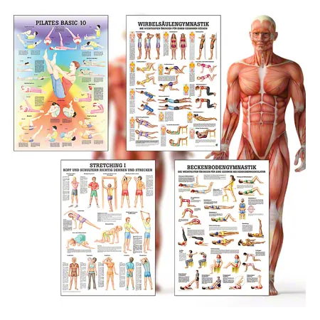Mini-Poster Booklet Fitness and Weight training, LxB 34x24 cm, 12 posters