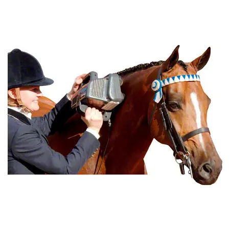 Thumper professional horse massager Equine Pro
