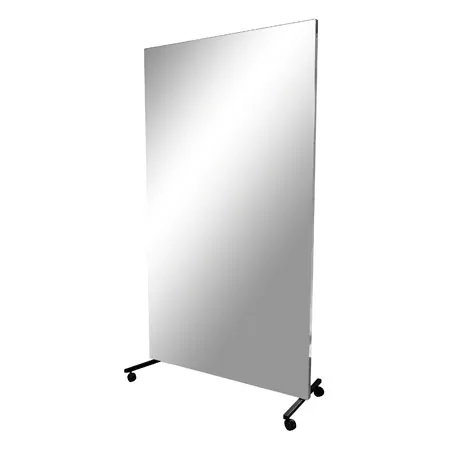 Light mirror, WxH 100x200 cm, mobile and swivelling