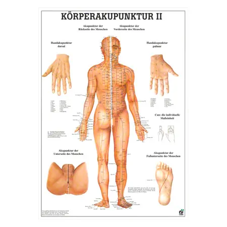 Mini-Poster - body acupuncture II - , LxW 34x24 cm