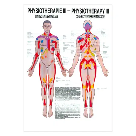 Mini-Poster - massage of the connective tissue - L x W 34x24 cm