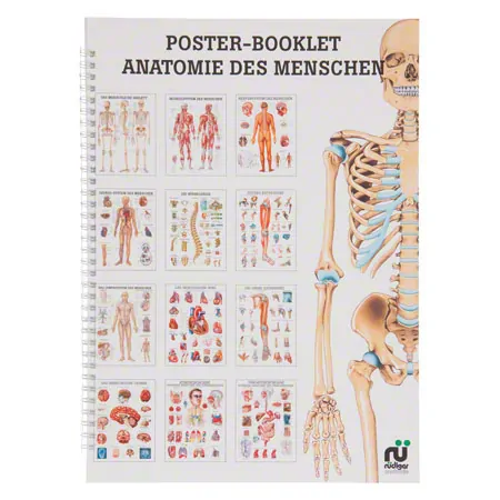 Mini poster booklet - Human anatomy - , LxW 34x24 cm, 12 posters