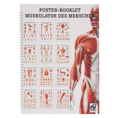 Mini poster booklet - human muscles - , LxW 34x24 cm, 12 posters