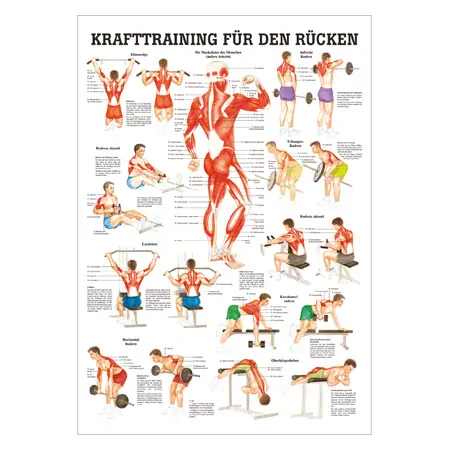 Wall chart - Strength training for your back -, LxW 100x70 cm