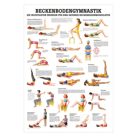 Wall Chart Pelvic Floor Exercises Lxw 100x70 Cm Buy Online