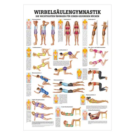 Wall chart - spinal gymnastics - , LxW 100x70 cm
